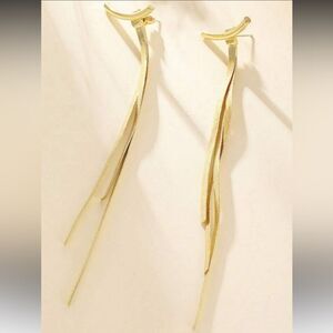 Tassel drop earrings M1004